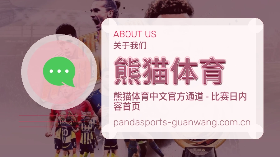 熊猫体育多端访问服务介绍